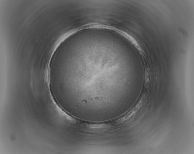 X0000112401247200908141332
