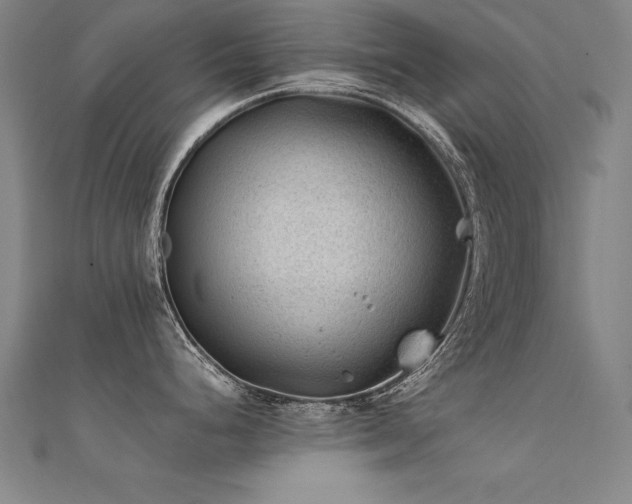 X0000112401248200908141332