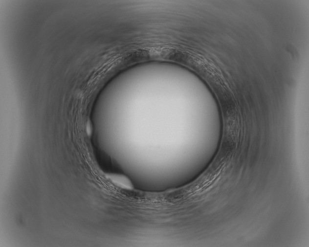 X0000112401249200908141332
