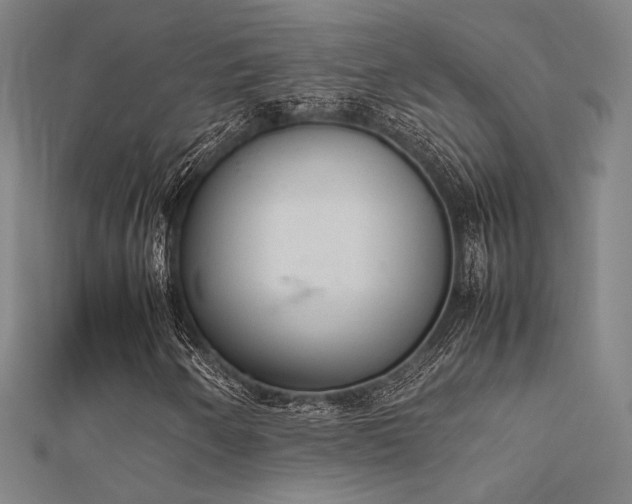 X0000112401250200908141332
