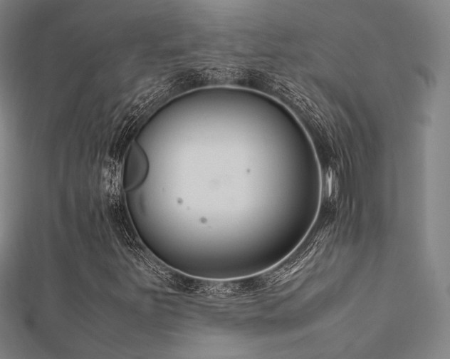 X0000112401251200908141332