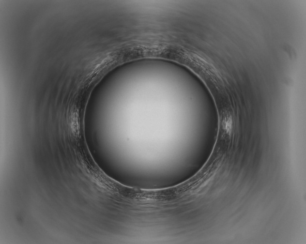 X0000112401252200908141332
