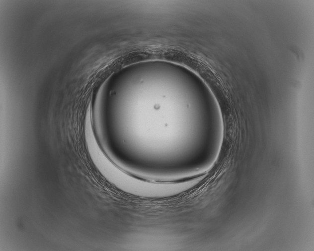 X0000112401253200908141332