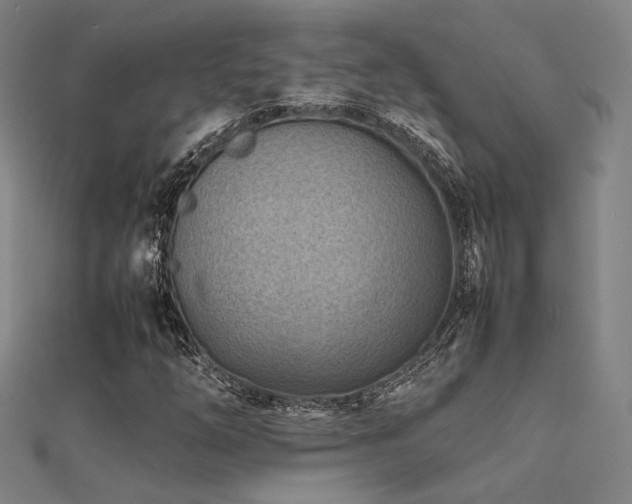 X0000112401254200908141332