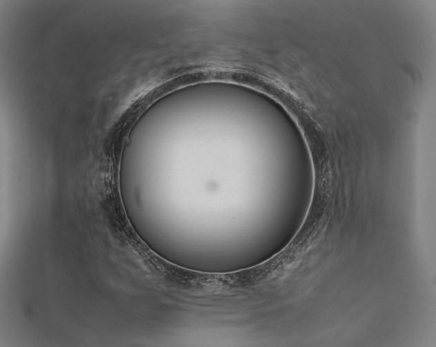 X0000112401255200908141332