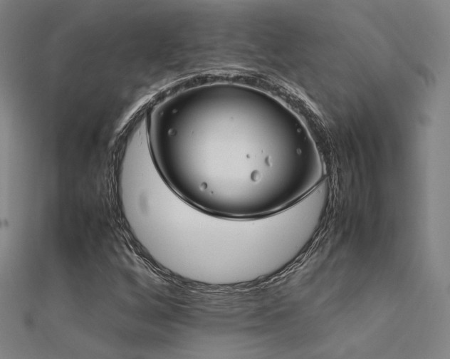 X0000112401256200908141332