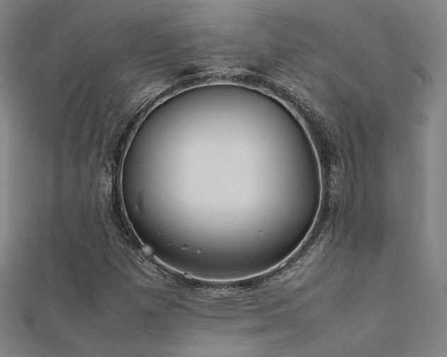 X0000112401257200908141332