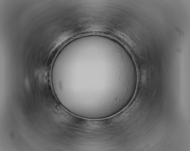 X0000112401258200908141332