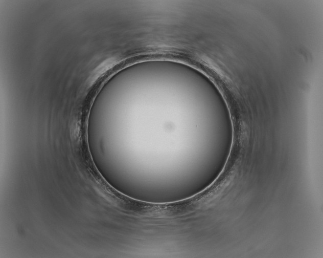 X0000112401259200908141332