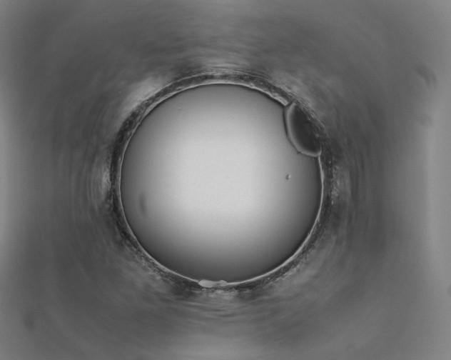 X0000112401261200908141332