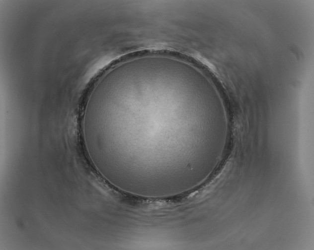 X0000112401263200908141331