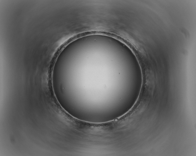 X0000112401264200908141331