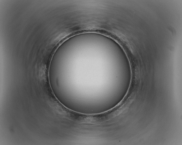 X0000112401265200908141331