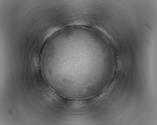 X0000112401266200908141331