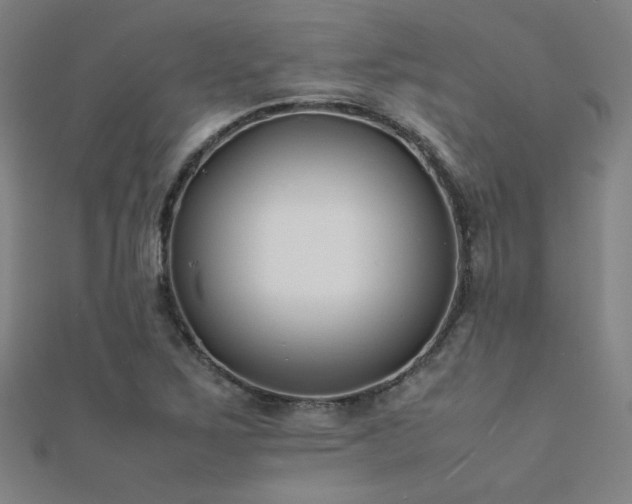 X0000112401267200908141331