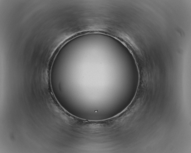 X0000112401268200908141331