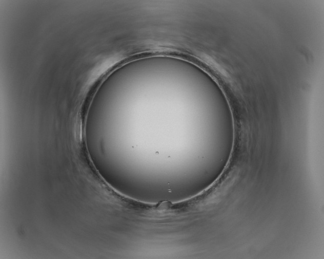 X0000112401269200908141331