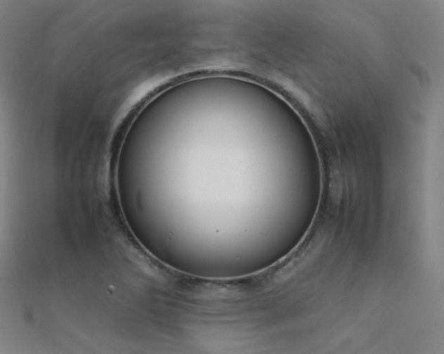 X0000112401270200908141331