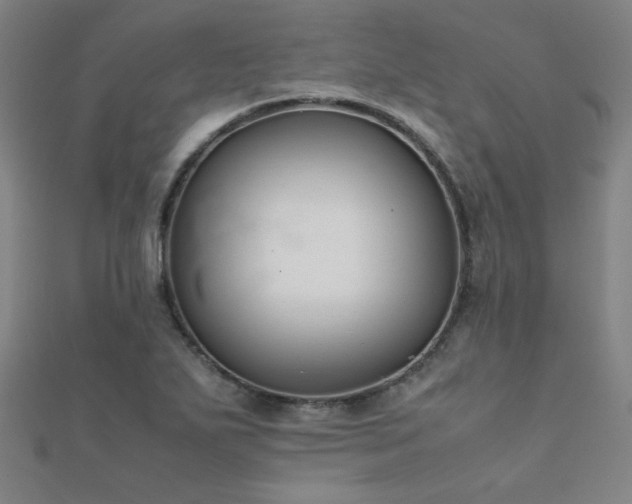 X0000112401271200908141331
