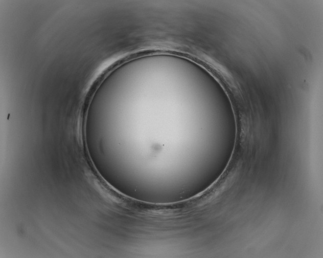 X0000112401272200908141331