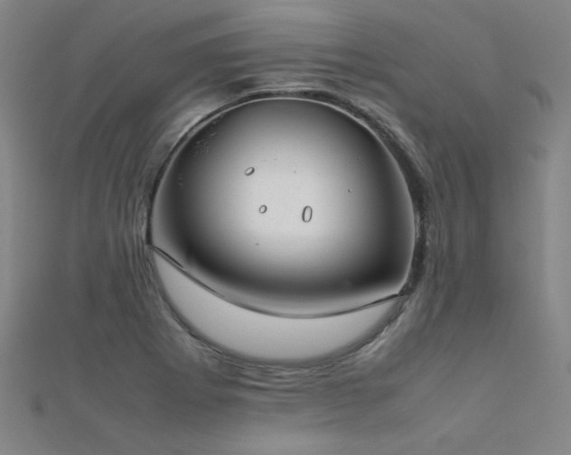 X0000112401273200908141331