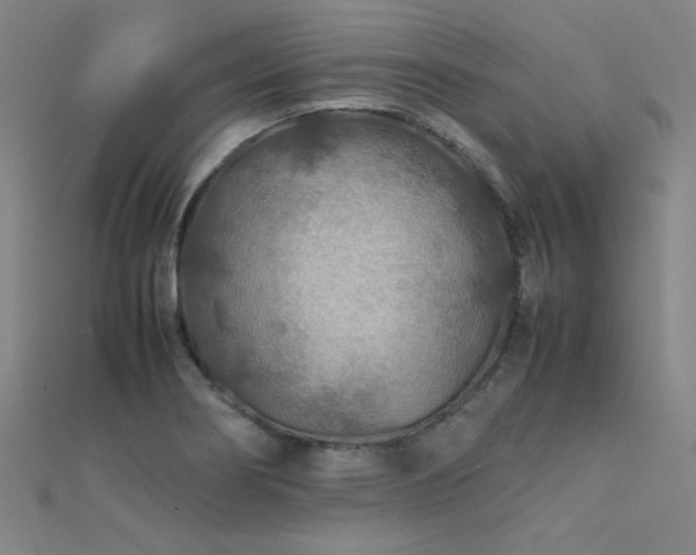 X0000112401274200908141331
