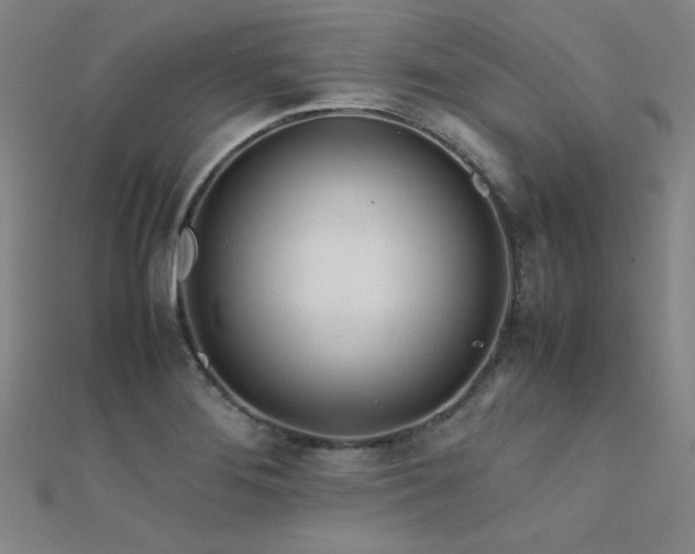 X0000112401276200908141331