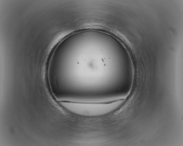 X0000112401277200908141331