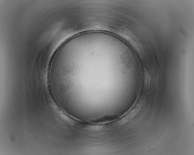 X0000112401278200908141331