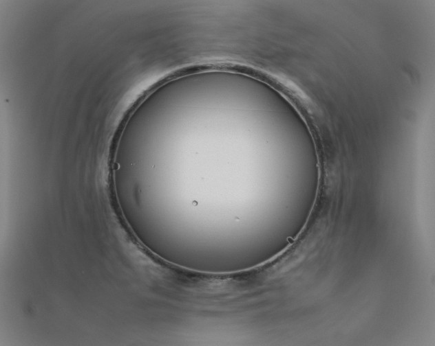 X0000112401279200908141331