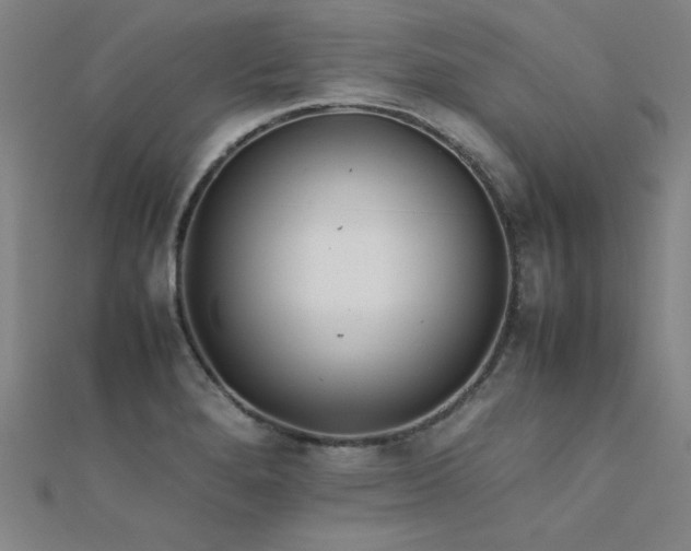 X0000112401280200908141331
