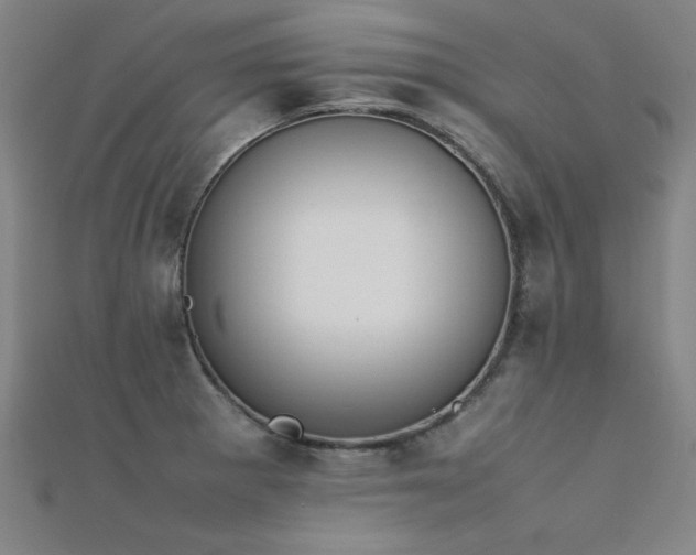 X0000112401281200908141331