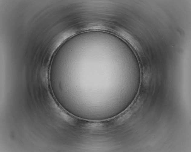 X0000112401282200908141331