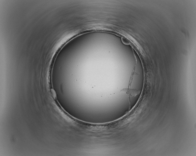 X0000112401285200908141331