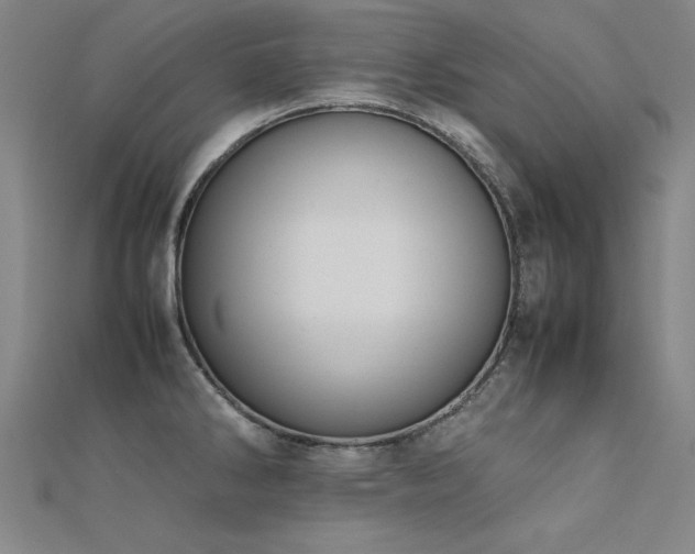 X0000112401286200908141331