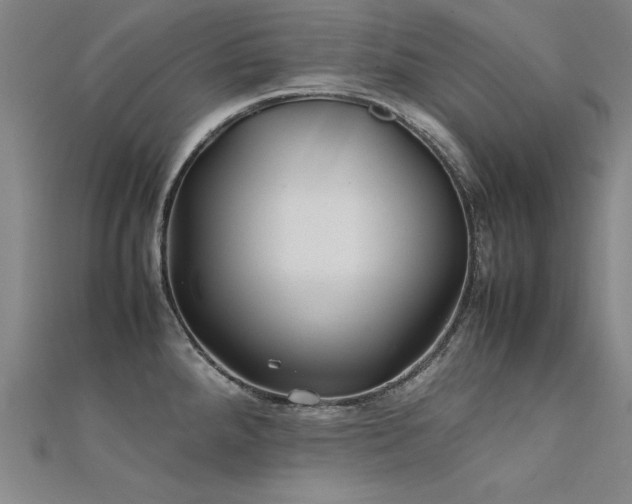 X0000112401288200908141331