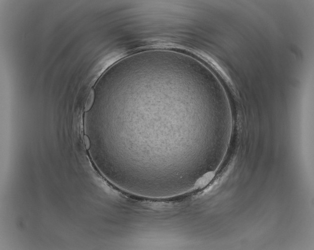 X0000112401289200908141331