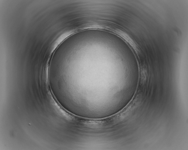 X0000112401290200908141331
