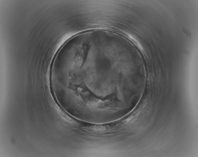 X0000112401291200908141331