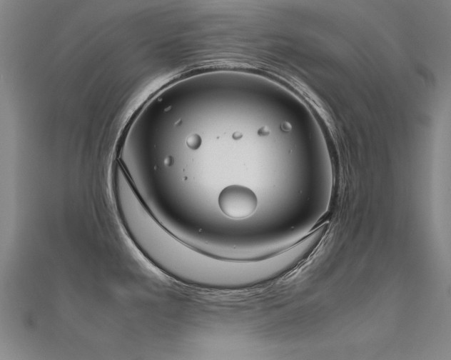 X0000112401293200908141331