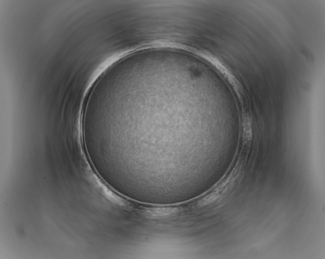 X0000112401294200908141331