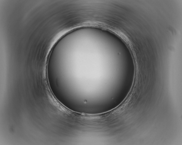 X0000112401296200908141331