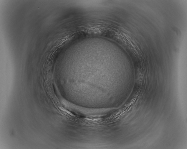 X0000112401297200908141330