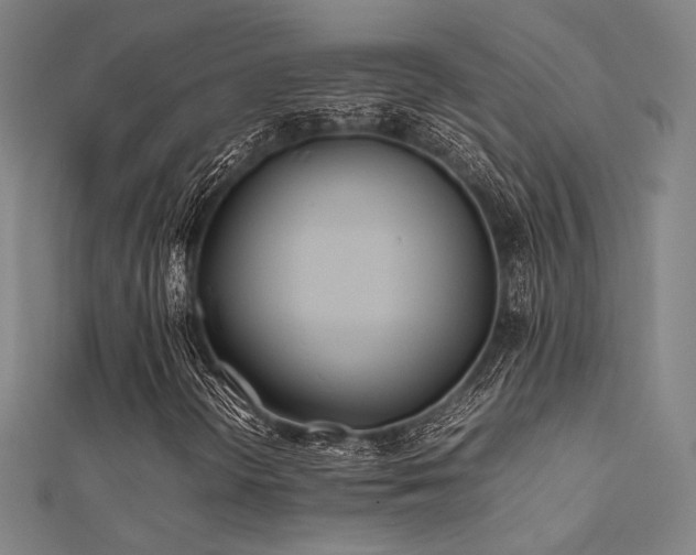 X0000112401298200908141330
