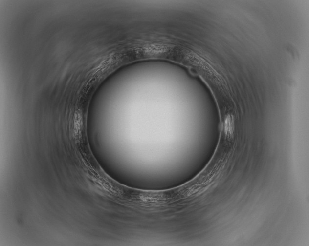 X0000112401299200908141330