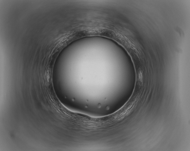 X0000112401300200908141330