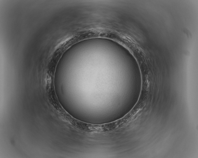X0000112401302200908141330
