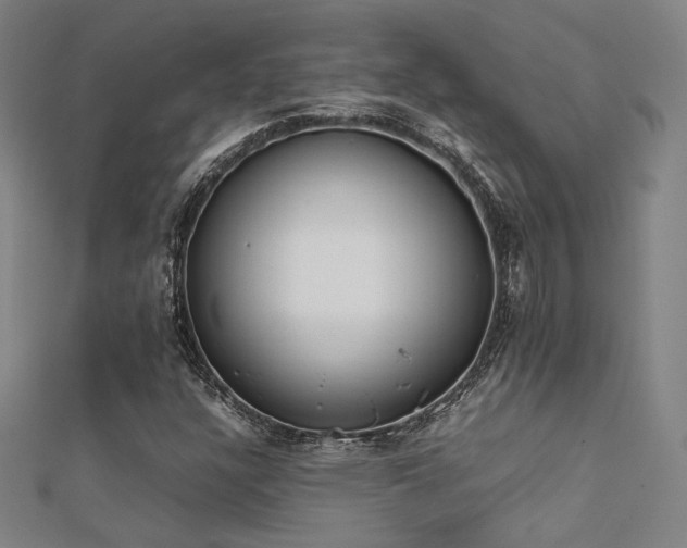 X0000112401304200908141330