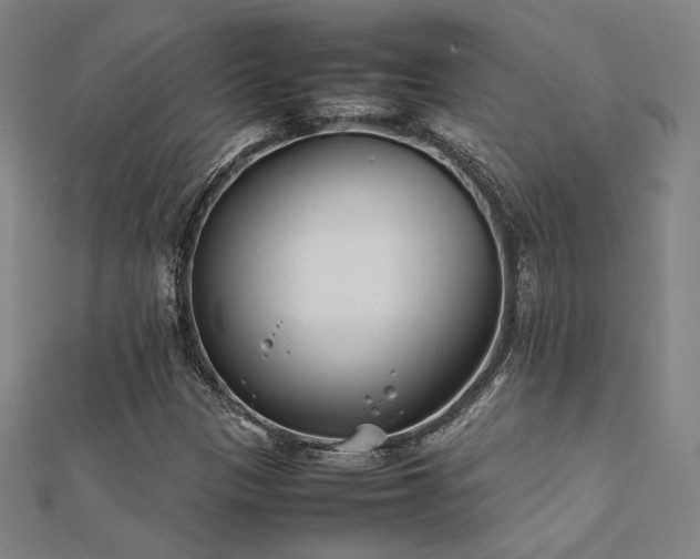 X0000112401305200908141330
