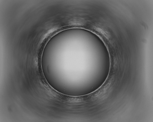 X0000112401307200908141330